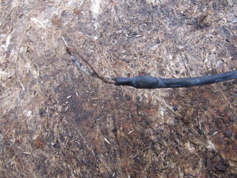 Датчик ABS задний правый SUBARU OUTBACK 09-14 BR Внедорожник 2.5