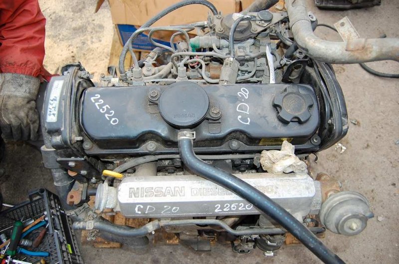 Двигатель дизель PRIMERA P-11 96-01