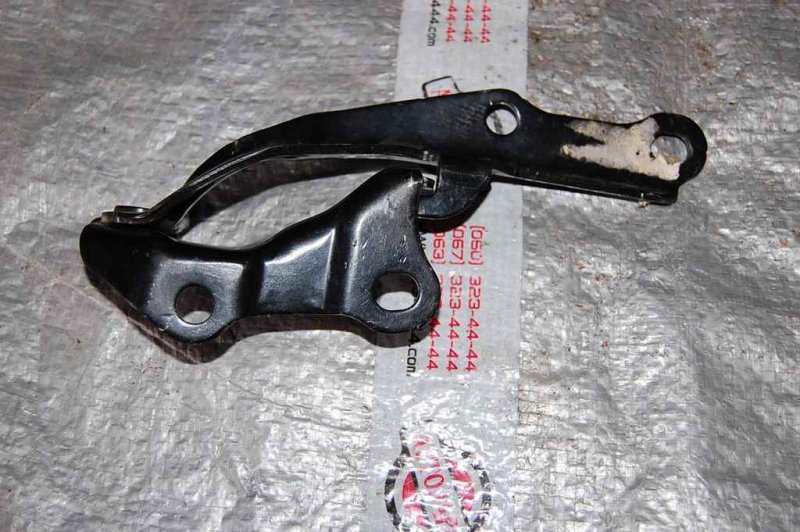 Петля капота левая TOYOTA CAMRY 30 02-06