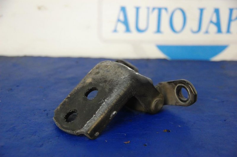 Петля двери нижняя передняя правая FX S50 03-08