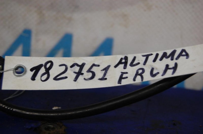 Датчик ABS передний правый NISSAN ALTIMA L32 07-12