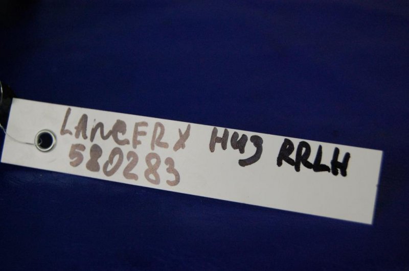 Петля двери нижняя задняя левая LANCER X 10 07-15