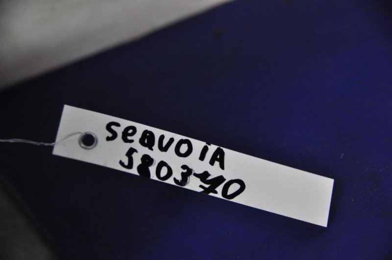 Подушка безопасности пассажира SEQUOIA 08-17