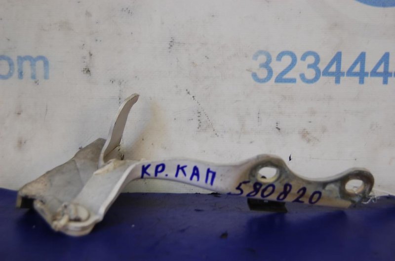 Петля капота правая CHEVROLET EVANDA 04-06 96326956 Б/У