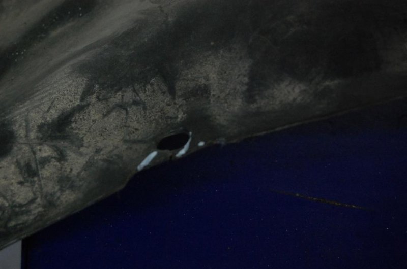 Подкрылок передний правый X-TRAIL T31 07-14