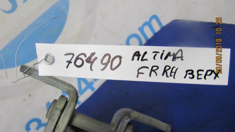 Петля двери верхняя передняя правая ALTIMA L32 07-12