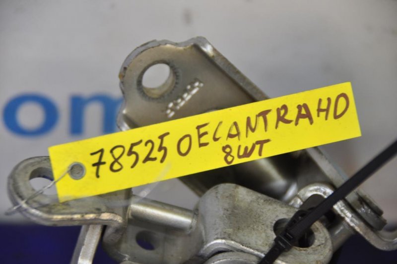 Петля двери ELANTRA HD 06-11