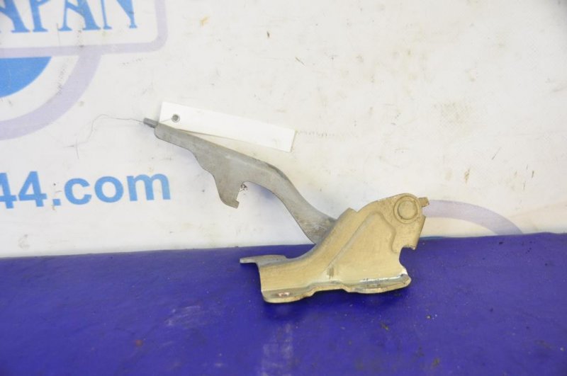 Петля капота левая EVANDA 04-06