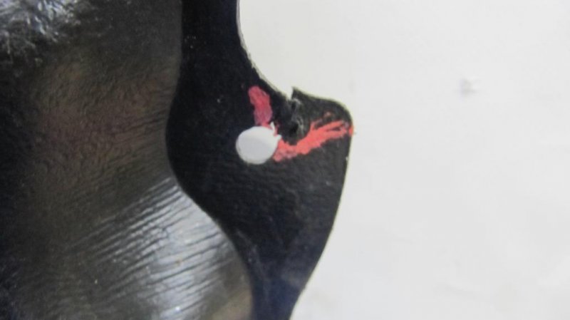 Защита двигателя COROLLA 150 06-13 Защита двигателя COROLLA 150 06-13