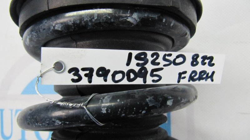 Амортизатор передний правый IS250/350 05-13 2010 Седан 2.5