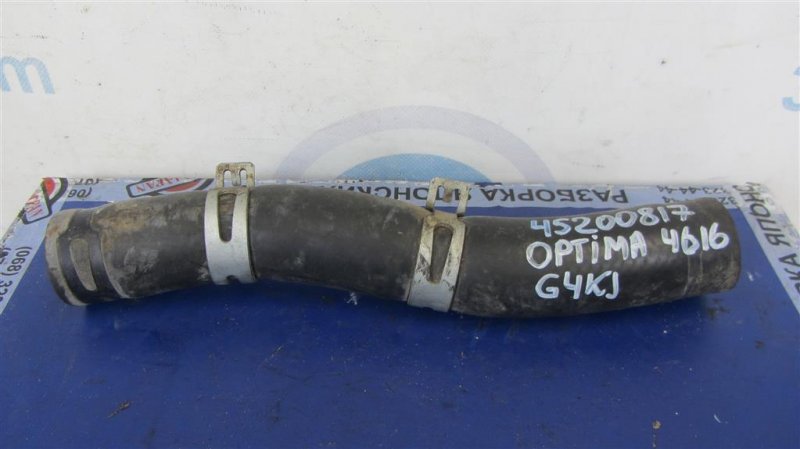 Патрубок системы охлаждения KIA OPTIMA JF 15-20 2016 Седан 2.4 25412-C1100 Б/У