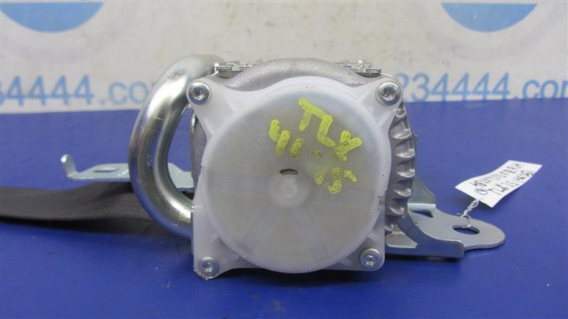 Ремень безопасности передний правый TLX 14-17 2016 Седан 3.5