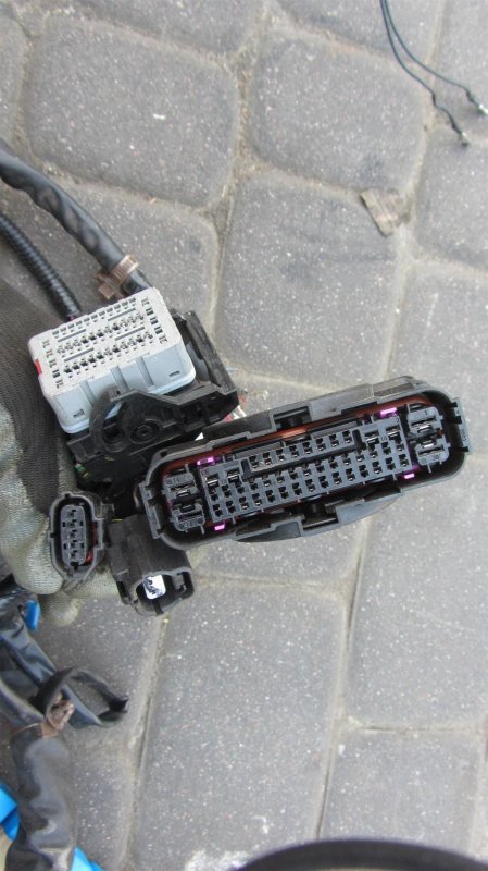 Проводка подкапотная OUTBACK BS 14-21 2016 Внедорожник 2.5 FB25B Проводка подкапотная OUTBACK BS 14-21 2016 Внедорожник 2.5 FB25B