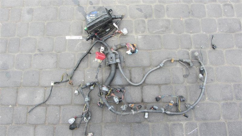 Проводка подкапотная MITSUBISHI GALANT 03-12 2011 Седан 2.4 8501B976 Б/У