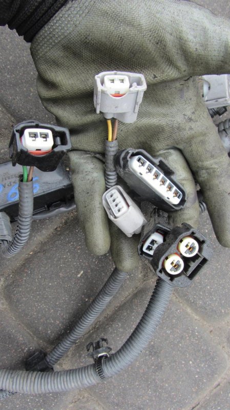 Проводка подкапотная VENZA 09-16 2009 AGV15 2.7 1ARFE