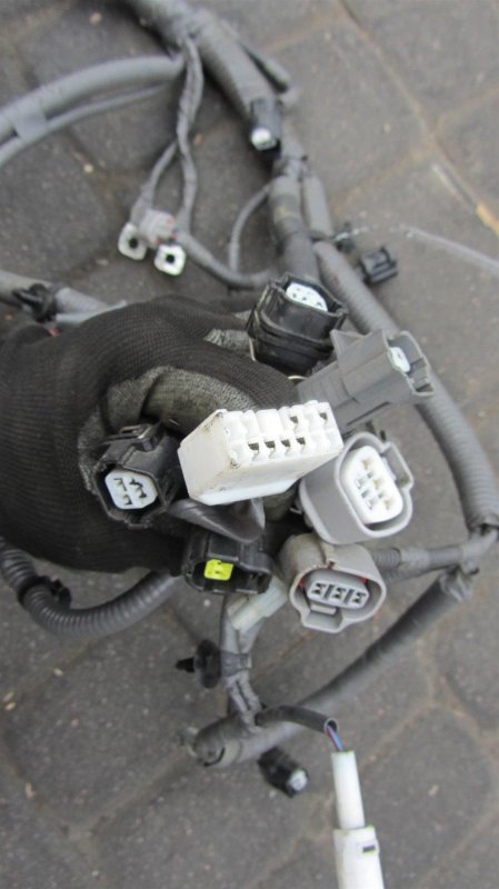 Проводка подкапотная FORESTER 12-19