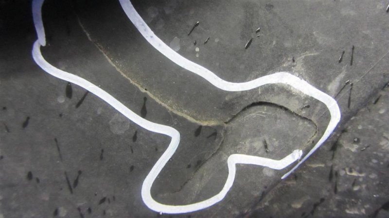 Диффузор вентилятора основного радиатора OUTLANDER 03-07 2005 Внедорожник 2.4