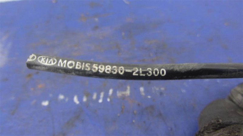 Датчик ABS передний правый HYUNDAI I30 FD 07-12