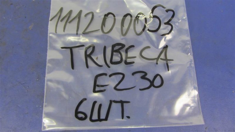 Форсунка топливная TRIBECA B9 05-07 EZ30