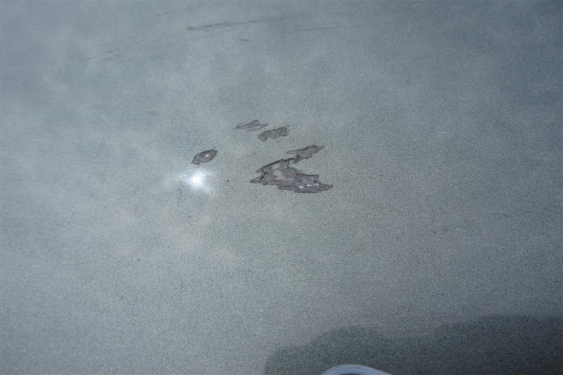 Дверь задняя правая FORESTER 12-19 2015 Внедорожник 2.5