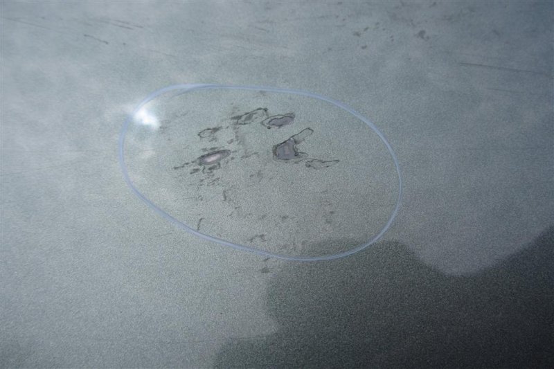 Дверь задняя правая FORESTER 12-19 2015 Внедорожник 2.5