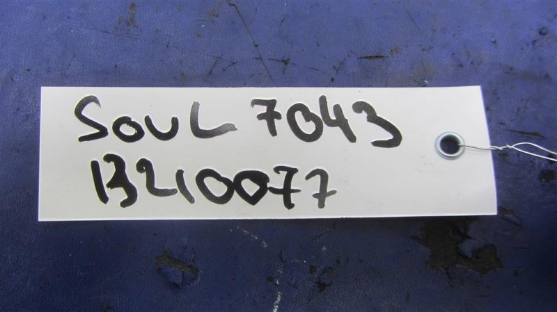 Датчик температуры охлаждающей жидкости SOUL PS 13-19 2014 PS 2.0