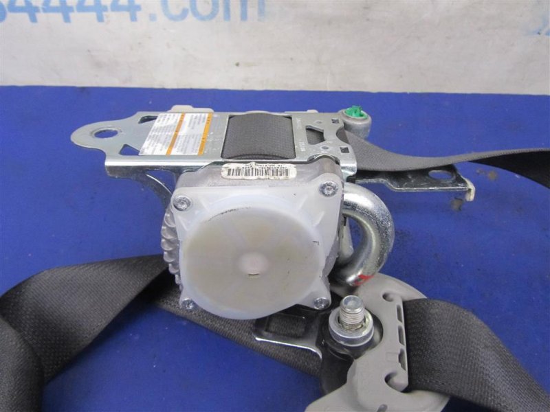 Ремень безопасности передний правый TLX 14-17 2016 Седан 3.5