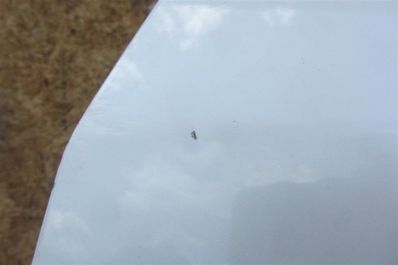 Дверь задняя левая SENTRA (B16) 06–12