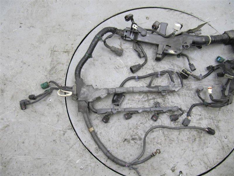 Проводка подкапотная TLX 14-17 2015 Седан 2.4