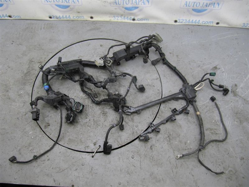 Проводка подкапотная TLX 14-17 2015 Седан 2.4