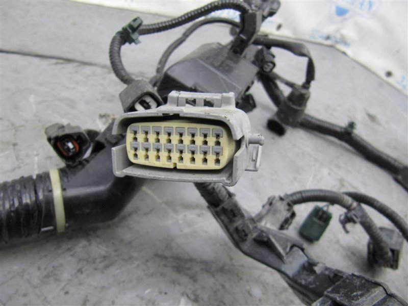 Проводка подкапотная TLX 14-17 2015 Седан 2.4