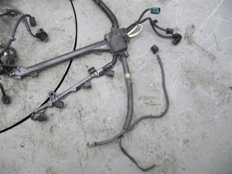 Проводка подкапотная TLX 14-17 2015 Седан 2.4