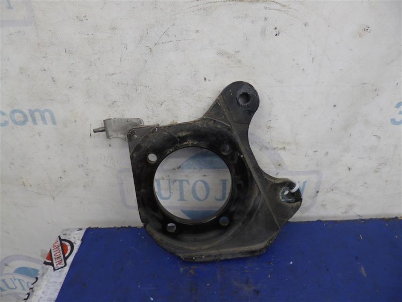 Цапфа задняя левая CHEVROLET VOLT 10-15 Хетчбек 1.4 LUU Цапфа задняя левая CHEVROLET VOLT 10-15 Хетчбек 1.4 LUU