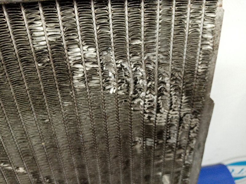 Радиатор основной TEANA J31 03-07