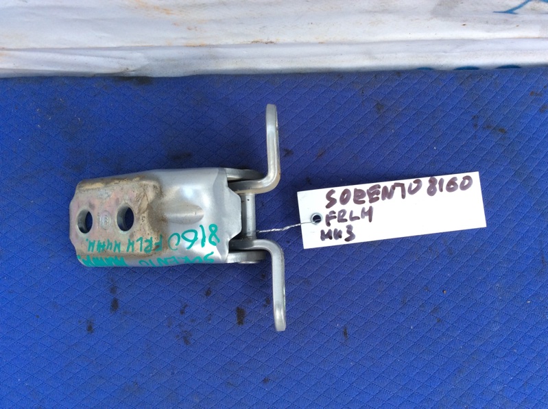 Петля двери нижняя передняя левая SORENTO UM 14- 2016 Внедорожник 2.4