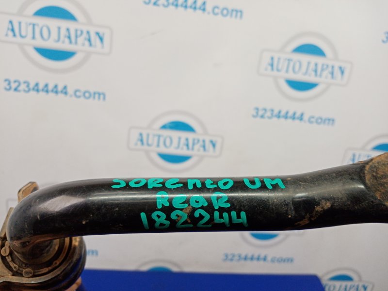 Стабилизатор задний SORENTO UM 14- 2016 Внедорожник 2.4