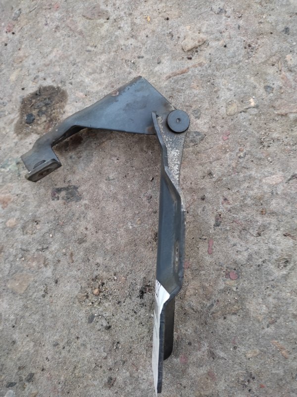 Петля капота левая ALMERA 03-09 2004 N16 1.5