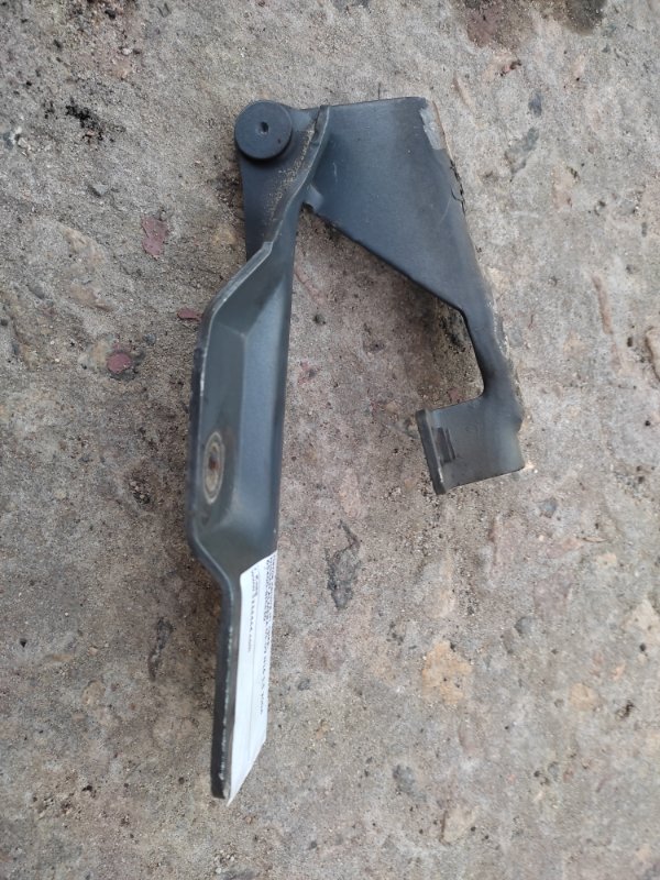 Петля капота правая NISSAN ALMERA 03-09 N16 1.5 Петля капота правая NISSAN ALMERA 03-09 N16 1.5