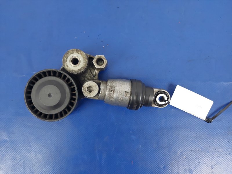 Натяжитель ремня генератора 3 BM 13-19 2.0