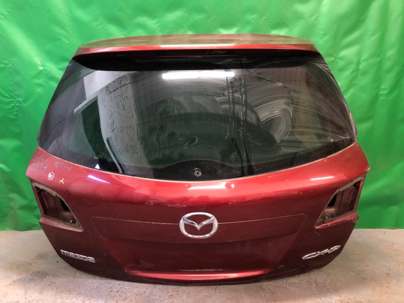 Панель подсветки номера CX-9 06-16 2009 Внедорожник 3.7