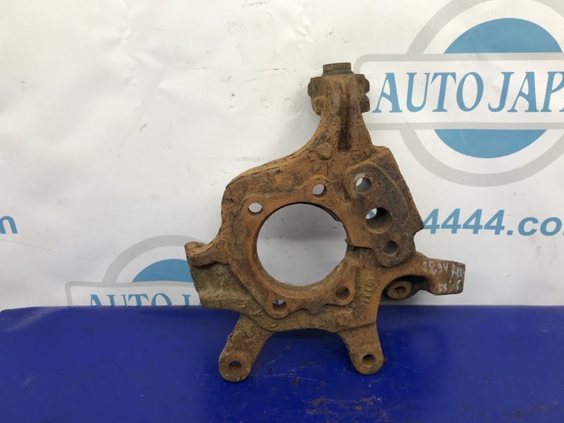 Цапфа задняя левая FX S50 03-08