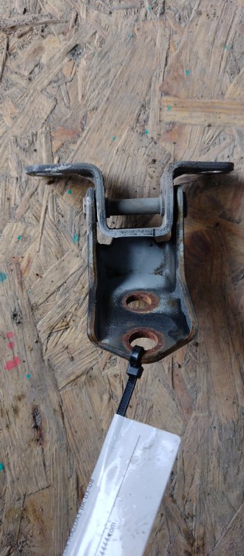 Петля двери нижняя передняя левая 3 BK 03-08