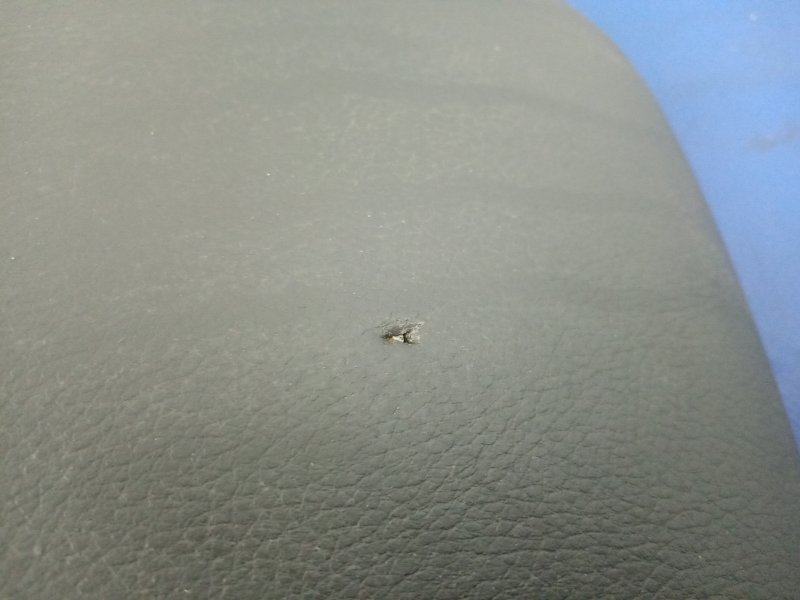 Подлокотник JETTA USA 10-17