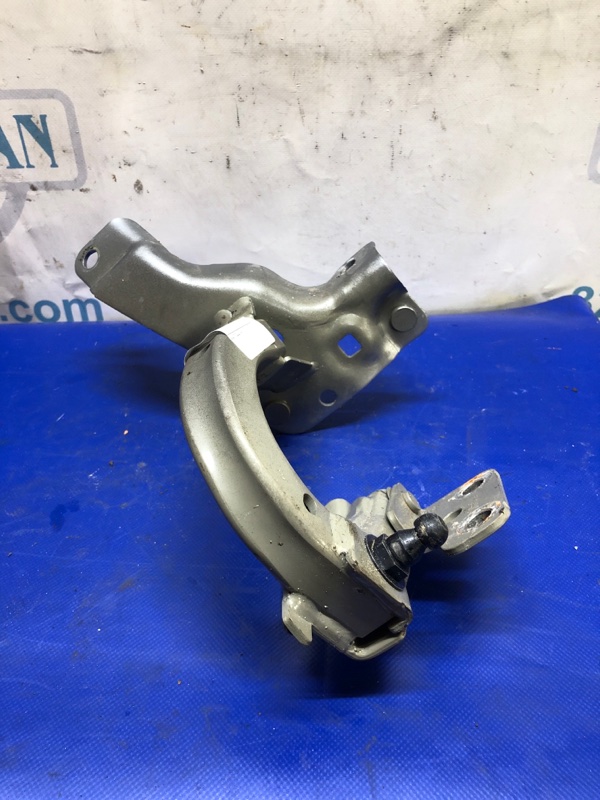 Петля крышки багажника левая ACURA RDX 19- Внедорожник 2.0