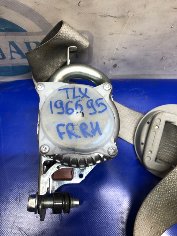 Ремень безопасности передний правый TLX 14-17 2015 Седан 2.4