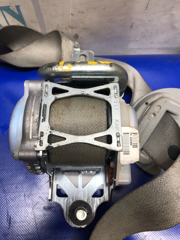 Ремень безопасности передний правый TLX 14-17 2015 Седан 2.4