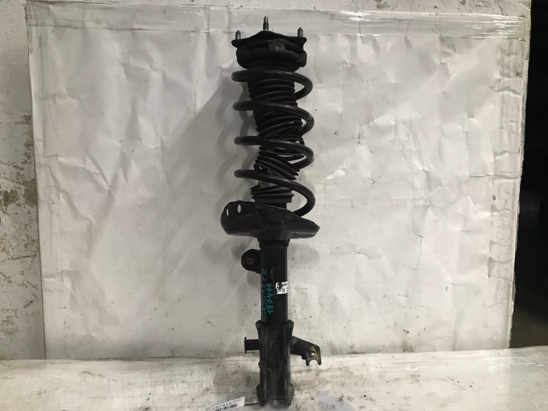 Запчасть амортизатор передний правый ACURA RDX 06-12 2007 Внедорожник 2.3 51605-STK-A03 Б/У Амортизатор передний правый ACURA RDX 06-12 2007 Внедорожник 2.3 51605-STK-A03 Б/У