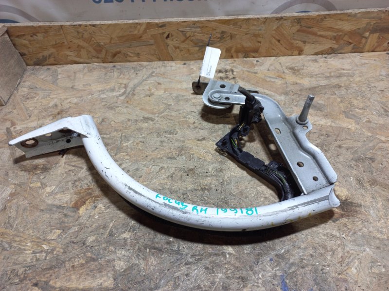 Петля крышки багажника правая FORD FOCUS 10-18