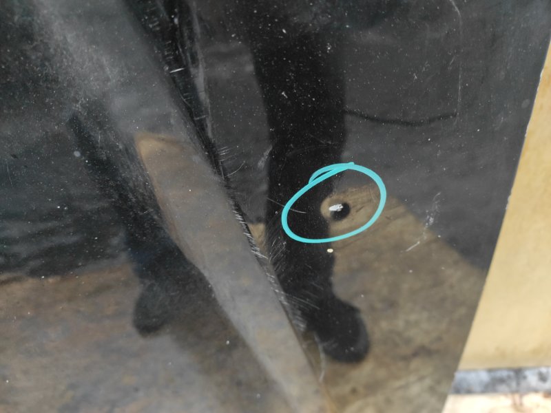 Капот OUTBACK 03-09 BP