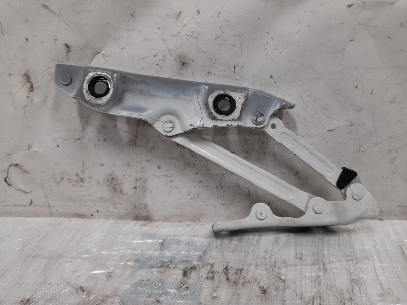 Петля крышки багажника левая Q50 15-20 2015 Седан 3.7 VQ37VHR